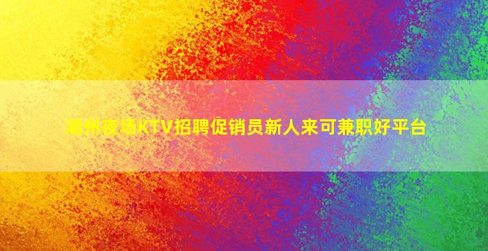 湖州夜场KTV招聘促销员新人来可兼职好平台